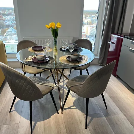 Z Widokiem Na 16 Pietrze 公寓 奥尔什丁